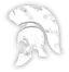 helm icon selection