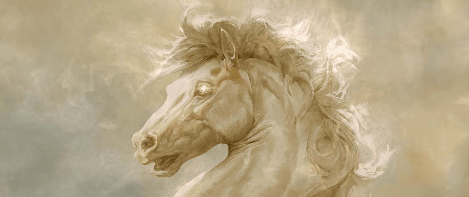 profile banner